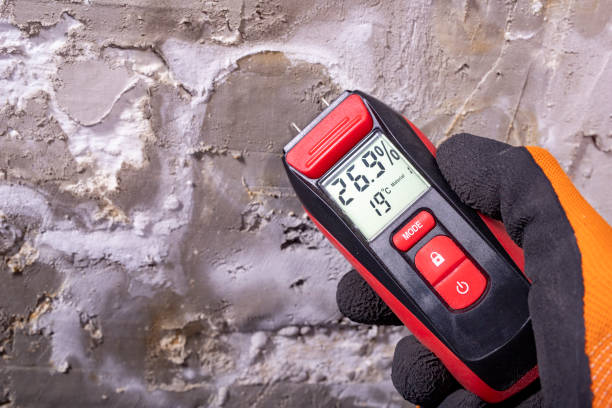 Best Post-Flood Mold Remediation in Colona, IL