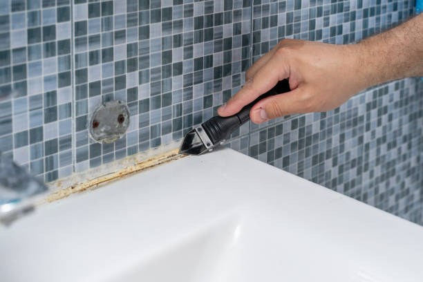 Best Insurance-Related Mold Remediation in Colona, IL